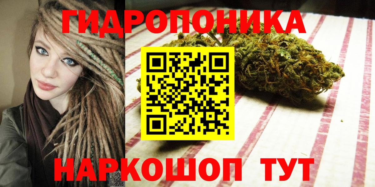 Канабис сатива Тула